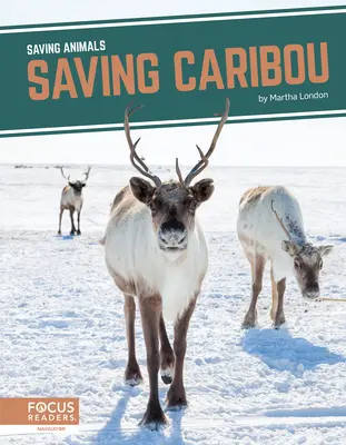 Rettung von Karibus - Saving Caribou