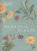 The Gardener's Companion to Medicinal Plants: Ein A-Z der Heilpflanzen und Hausmittel - The Gardener's Companion to Medicinal Plants: An A-Z of Healing Plants and Home Remedies