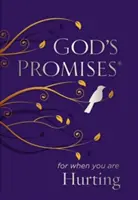 Gottes Verheißungen, wenn du verletzt bist - God's Promises for When You Are Hurting