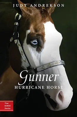Kanonier: Hurricane-Pferd - Gunner: Hurricane Horse