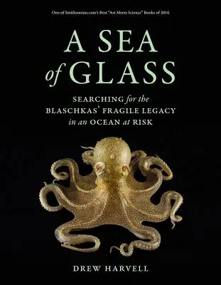 Ein gläsernes Meer, 13: Auf der Suche nach dem zerbrechlichen Erbe der Blaschkas in einem gefährdeten Ozean - A Sea of Glass, 13: Searching for the Blaschkas' Fragile Legacy in an Ocean at Risk