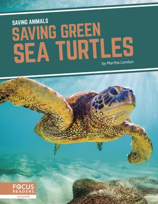 Rettung der Grünen Meeresschildkröten - Saving Green Sea Turtles