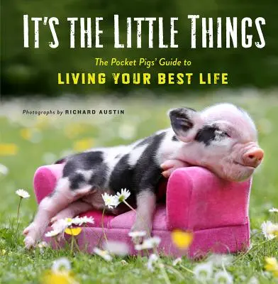 Es sind die kleinen Dinge: Der Pocket Pigs' Guide to Living Your Best Life (Inspirationsbuch, Geschenkbuch, Lebenslektionen, Mini Pigs) - It's the Little Things: The Pocket Pigs' Guide to Living Your Best Life (Inspiration Book, Gift Book, Life Lessons, Mini Pigs)