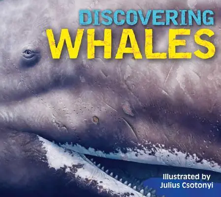 Wale, Delfine und Schweinswale entdecken - Discovering Whales, Dolphins & Porpoises