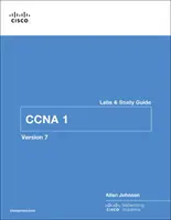 Einführung in Netzwerke - Übungen und Studienführer (Ccnav7) - Introduction to Networks Labs and Study Guide (Ccnav7)