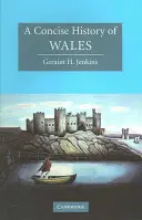 Eine prägnante Geschichte von Wales - A Concise History of Wales