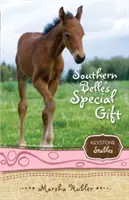 Southern Belles besonderes Geschenk, 3 - Southern Belle's Special Gift, 3