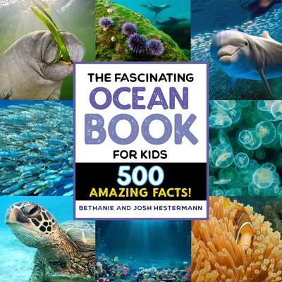 Das faszinierende Ozeanbuch für Kinder: 500 unglaubliche Fakten! - The Fascinating Ocean Book for Kids: 500 Incredible Facts!