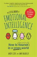 Das kleine Buch der emotionalen Intelligenz: Wie Sie in einer verrückten Welt aufblühen - The Little Book of Emotional Intelligence: How to Flourish in a Crazy World