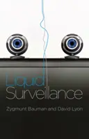 Liquid Surveillance: Ein Gespräch - Liquid Surveillance: A Conversation