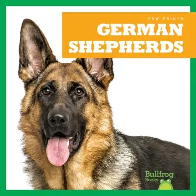 Deutsche Schäferhunde - German Shepherds