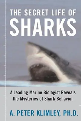 Das geheime Leben der Haie: Ein führender Meeresbiologe lüftet die Geheimnisse des Haiverhaltens - The Secret Life of Sharks: A Leading Marine Biologist Reveals the Mysteries of Shark Behavior