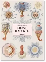 Die Kunst und Wissenschaft von Ernst Haeckel - The Art and Science of Ernst Haeckel