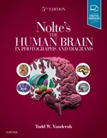 Nolte's das menschliche Gehirn in Fotografien und Diagrammen - Nolte's the Human Brain in Photographs and Diagrams