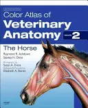 Farbatlas der veterinärmedizinischen Anatomie, Band 2, das Pferd - Color Atlas of Veterinary Anatomy, Volume 2, the Horse