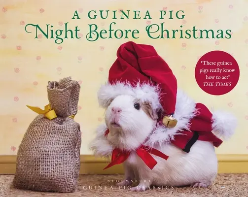 Eine Meerschweinchen-Nacht vor Weihnachten - A Guinea Pig Night Before Christmas