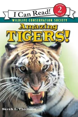 Erstaunliche Tiger! - Amazing Tigers!