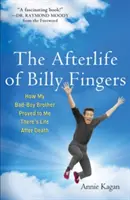 Afterlife of Billy Fingers: Wie mein böser Bruder mir bewies, dass es ein Leben nach dem Tod gibt - Afterlife of Billy Fingers: How My Bad-Boy Brother Proved to Me There's Life After Death
