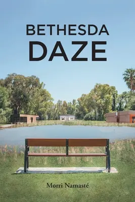 Bethesda-Dämmerung - Bethesda Daze