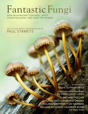 Fantastische Pilze: Bewusstseinserweiterung, alternative Heilmethoden, Auswirkungen auf die Umwelt // Offizielles Buch zum Dokumentarfilm Smash Hit - Fantastic Fungi: Expanding Consciousness, Alternative Healing, Environmental Impact // Official Book of Smash Hit Documentary