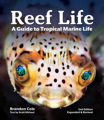 Riff-Leben: Ein Leitfaden für tropische Meeresbewohner - Reef Life: A Guide to Tropical Marine Life