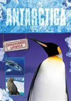 Antarktis - Antarctica