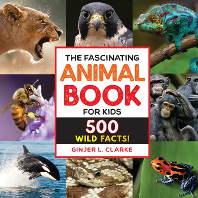 Das faszinierende Tierbuch für Kinder: 500 wilde Fakten! - The Fascinating Animal Book for Kids: 500 Wild Facts!