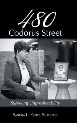 480 Codorus Straße: Unvorhersehbarkeit überleben - 480 Codorus Street: Surviving Unpredictability