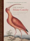 Der neugierige Mister Catesby: Ein wahrhaft genialer“ Naturforscher erkundet neue Welten“ - The Curious Mister Catesby: A Truly Ingenious