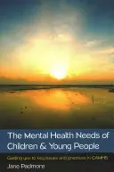 Die psychischen Gesundheitsbedürfnisse von Kindern und jungen Menschen: Ein Leitfaden zu den wichtigsten Themen und Praktiken in Camhs - The Mental Health Needs of Children & Young People: Guiding You to Key Issues and Practices in Camhs