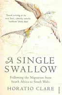 Eine einzige Schwalbe - Auf einer epischen Reise von Südafrika nach Südwales - Single Swallow - Following An Epic Journey From South Africa To South Wales