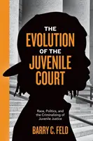 Die Entwicklung des Jugendgerichts: Ethnie, Politik und die Kriminalisierung der Jugendgerichtsbarkeit - The Evolution of the Juvenile Court: Race, Politics, and the Criminalizing of Juvenile Justice