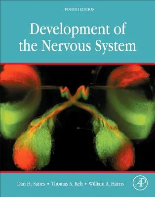 Die Entwicklung des Nervensystems - Development of the Nervous System