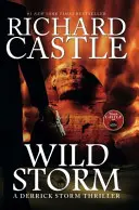 Wilder Sturm - Ein Derrick-Storm-Roman - Wild Storm - A Derrick Storm Novel