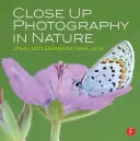 Close Up Fotografie in der Natur - Close Up Photography in Nature