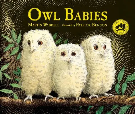 Eulen-Babys - Owl Babies