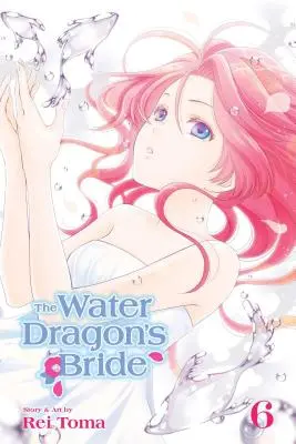 Die Braut des Wasserdrachens, Bd. 6 - The Water Dragon's Bride, Vol. 6