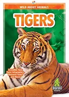 Tiger - Tigers