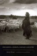 Träume von Schafen im Navajo-Land - Dreaming of Sheep in Navajo Country