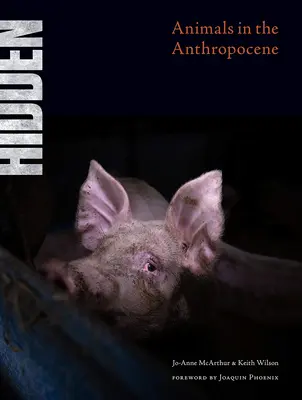 Verborgen: Tiere im Anthropozän - Hidden: Animals in the Anthropocene