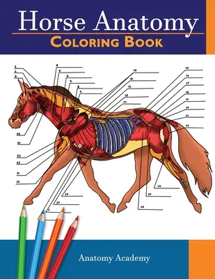 Pferde-Anatomie-Malbuch: Unglaublich detaillierter Selbsttest Pferdeanatomie Malbuch Perfektes Geschenk für Tiermedizinstudenten, Pferdeliebhaber & Erwachsene - Horse Anatomy Coloring Book: Incredibly Detailed Self-Test Equine Anatomy Color workbook Perfect Gift for Veterinary Students, Horse Lovers & Adult