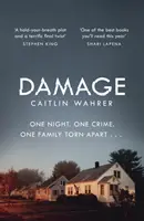 Damage - Ein unaufhaltsames und emotional packendes Debüt mit einer Wendung, die Sie nicht kommen sehen werden - Damage - An unputdownable and emotionally gripping debut with a twist you won't see coming