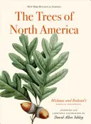 Die Bäume Nordamerikas: Das amerikanische Meisterwerk von Michaux und Redoute - The Trees of North America: Michaux and Redoute's American Masterpiece