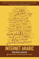 Internet-Arabisch [Mit CD (Audio)] - Internet Arabic [With CD (Audio)]