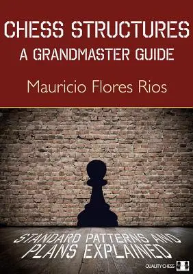 Schach-Strukturen: Ein Großmeister-Leitfaden: Erklärte Standardmuster und Pläne - Chess Structures: A Grandmaster Guide: Standard Patterns and Plans Explained