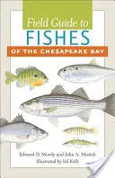 Feldführer zu den Fischen in der Chesapeake Bay - Field Guide to Fishes of the Chesapeake Bay