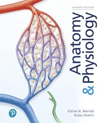 Anatomie und Physiologie - Anatomy & Physiology