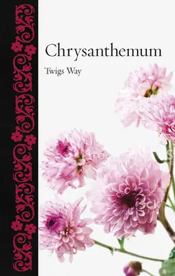 Chrysantheme - Chrysanthemum