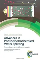 Fortschritte bei der photoelektrochemischen Wasserspaltung: Theorie, Experiment und Systemanalyse - Advances in Photoelectrochemical Water Splitting: Theory, Experiment and Systems Analysis