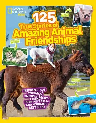 125 wahre Geschichten über erstaunliche Tierfreundschaften - 125 True Stories of Amazing Animal Friendships